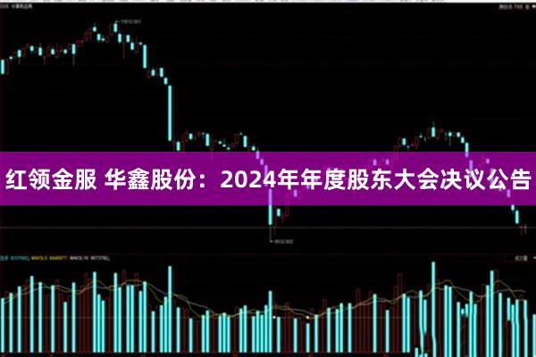 红领金服 华鑫股份：2024年年度股东大会决议公告