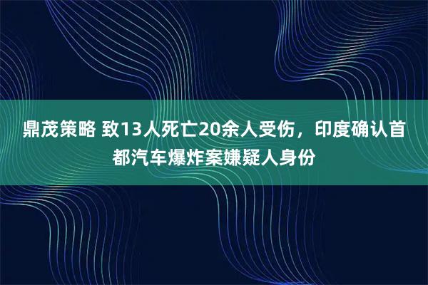 鼎茂策略 致13人死亡20余人受伤，印度确认首都汽车爆炸案嫌疑人身份