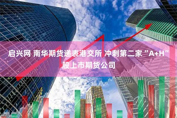 启兴网 南华期货递表港交所 冲刺第二家“A+H”股上市期货公司